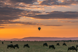 Serengeti